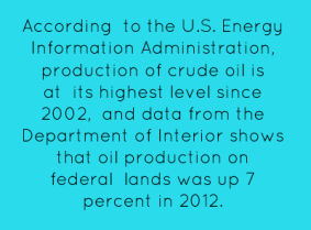 accordingto-the-us-energy-information-administration-production-of-crude-oil-3
